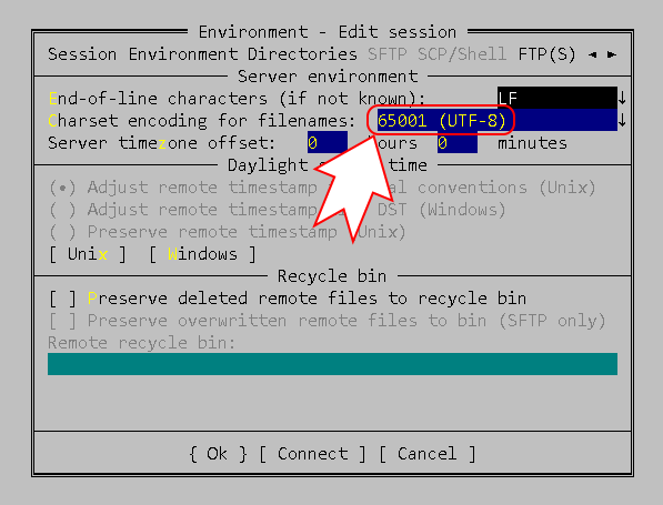 FAR MAnager encoding