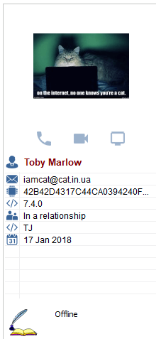 Настройка списка информационных полей в окне приватного разговора в MyChat Client